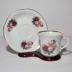 Chodziez Teacup and Saucer Poland Roses Vintage